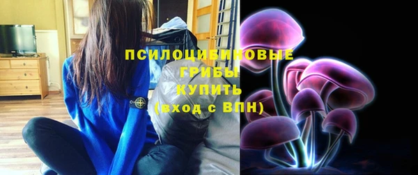 мдпв Верхнеуральск